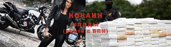 ГАЛЛЮЦИНОГЕННЫЕ ГРИБЫ Абаза