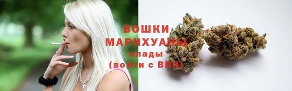 ГАЛЛЮЦИНОГЕННЫЕ ГРИБЫ Абаза
