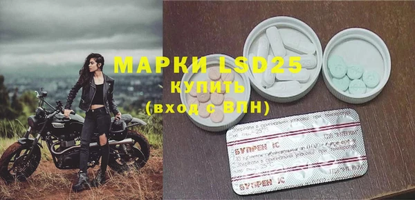 ГАЛЛЮЦИНОГЕННЫЕ ГРИБЫ Абаза
