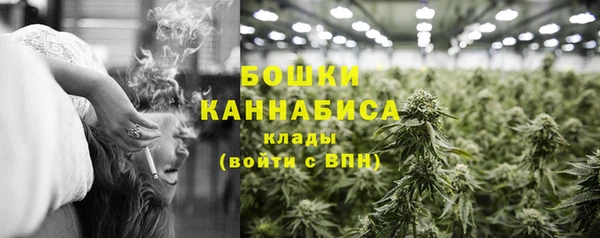 ГАЛЛЮЦИНОГЕННЫЕ ГРИБЫ Абаза